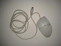 Image of item